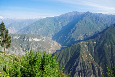 Colca Canyon Arequipa bölgesi