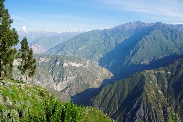 Colca 峡谷在阿雷基帕地区 — 图库照片