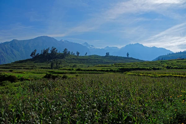 Colca Canyon i Arequipa Region — Stockfoto