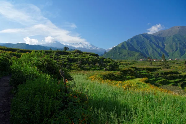 Colca Canyon Arequipa bölgesi