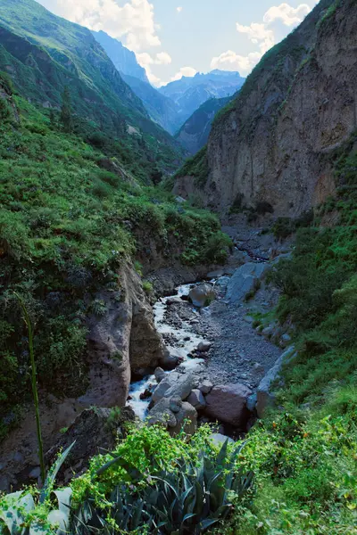 Colca Canyon i Arequipa Region — Stockfoto