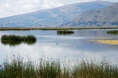 Titicaca gölü tekne yolculuğu