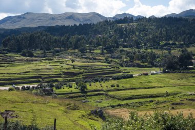 Cusco disi alanlar alan