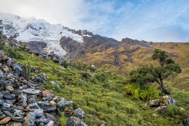 Salkantay Trekking Peru