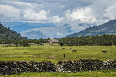 Salkantay Trekking Peru
