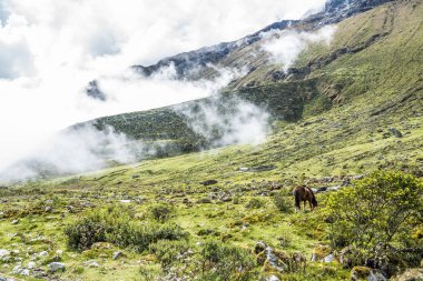 Salkantay Trekking Peru