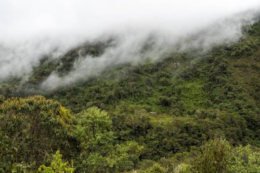 Salkantay Trekking Peru