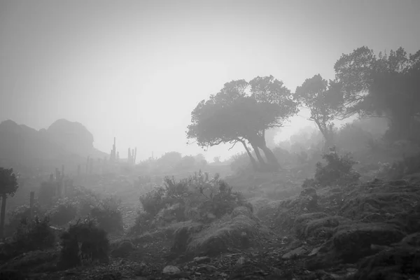 Salkantay Trekking Peru