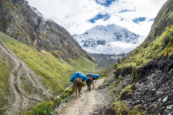 Salkantay Trekking Peru — Stockfoto