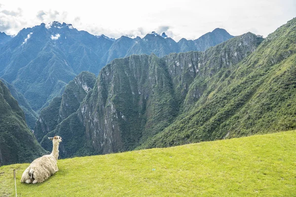 Machu Picchu Perú —  Fotos de Stock