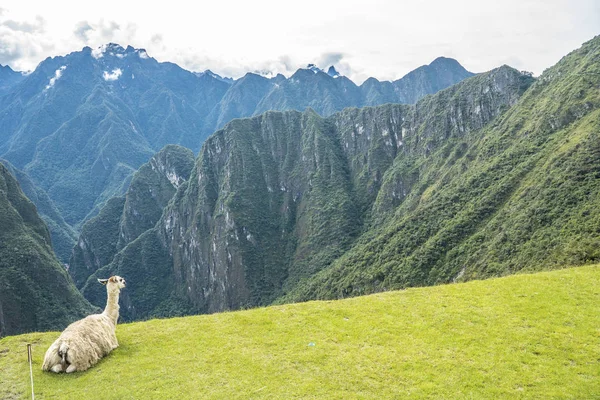 Machu Picchu Peru