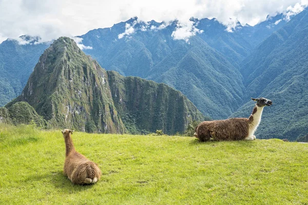 Machu Picchu Peru