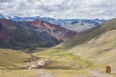 Gökkuşağı dağ yürüyüşü