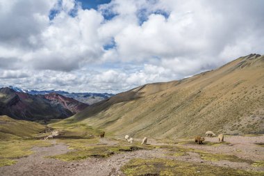 Gökkuşağı dağ yürüyüşü
