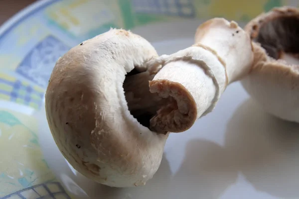 Bir plaka üzerinde champignon mantar — Stok fotoğraf