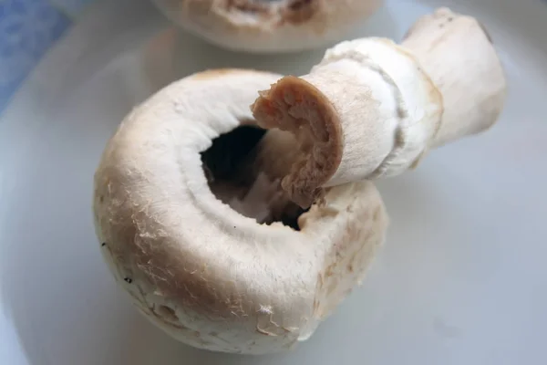 Bir plaka üzerinde champignon mantar — Stok fotoğraf