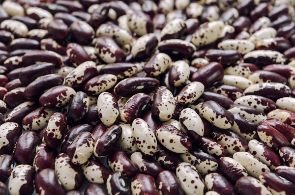 Большой урожай фасоли
