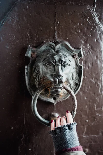 Лев двері стукач на старі двері — стокове фото
