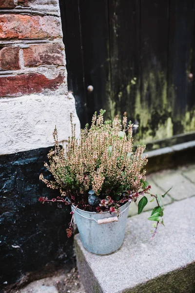 Wellcome flowers in front of danish home — Stock Photo, Image