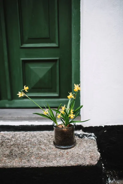 Daffodils ต่อหน้าบ้านในเดนมาร์ก — ภาพถ่ายสต็อก