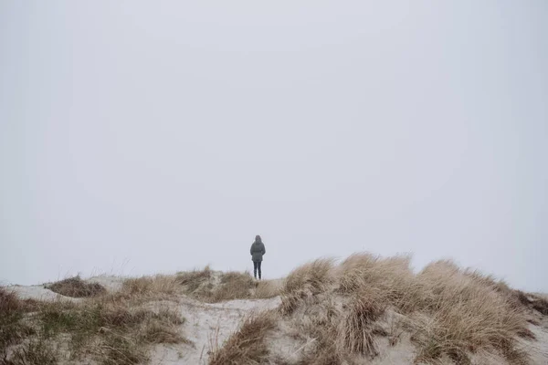 모래 언덕에 혼자 서 있는 — 스톡 사진