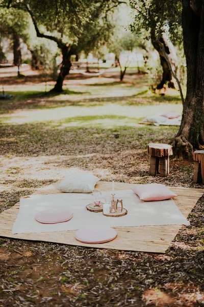 Piknik v olivové groove — Stock fotografie