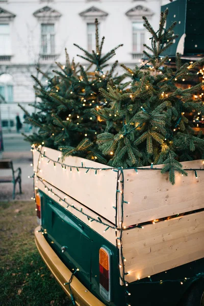 Árboles de Navidad — Foto de Stock