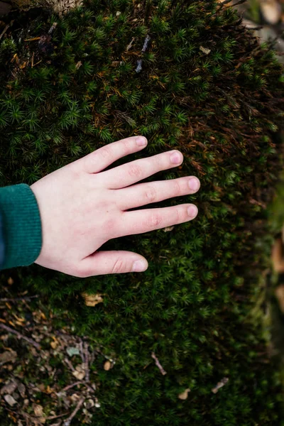 自然的孩子触摸绿色的地毯 — 图库照片