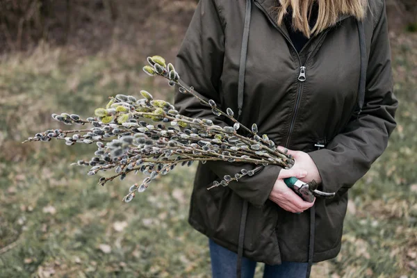 Woman in nature holding pussy willow branches — Stock Photo, Image