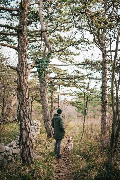 İnsan ve onun av köpeği yürüyor — Stok fotoğraf