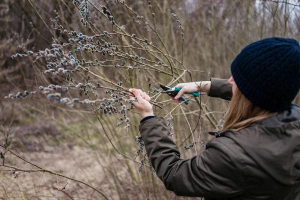 Vrouw Natuur Snijden Kutje Wilg Takken — Stockfoto