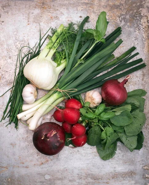 Grupp av färska grönsaker och örter — Stockfoto