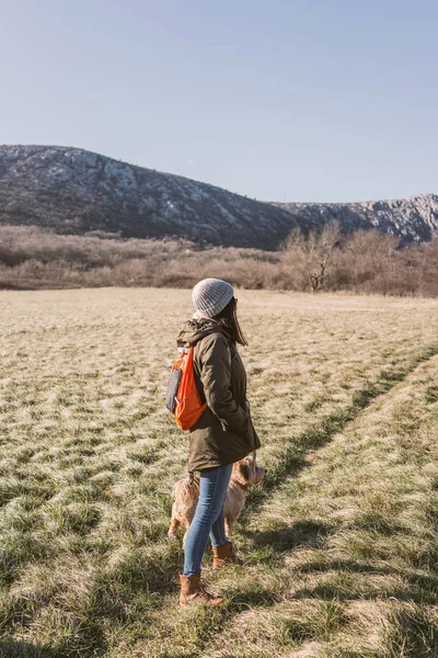 犬と冬の散歩 — ストック写真
