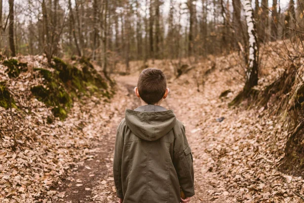 Boy Standing Forest — Stock Photo, Image