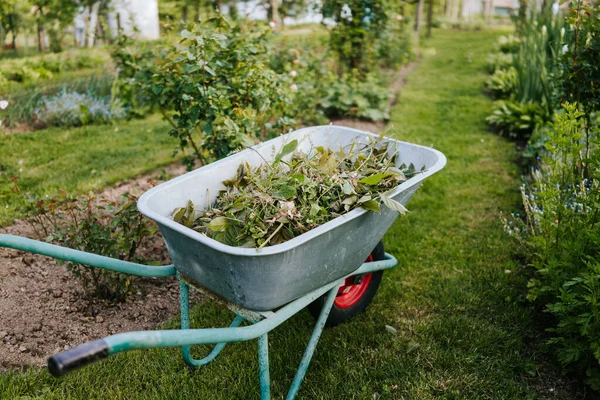 Skottkärra Full Grenar Trädgård — Stockfoto