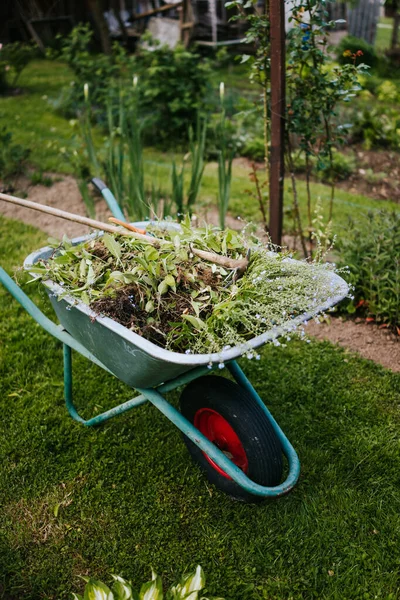 Wheelbarrow Full Branches Garden — Stock Photo, Image