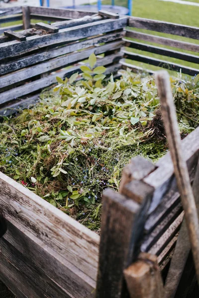 Membuat Kompos Dari Daun Segar Kebun Belakang Anda — Stok Foto