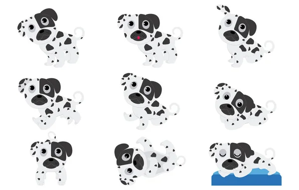 Dalmatian Puppies Different Poses — Stock Vector