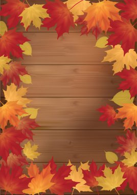 Kırmızı yapraklı sonbahar arkaplanı