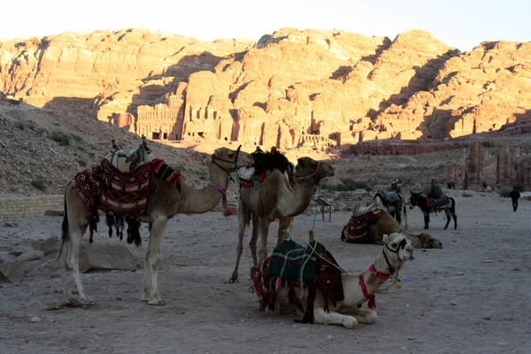 Drometaries in Petra το ηλιοβασίλεμα, Ιορδανία — Φωτογραφία Αρχείου