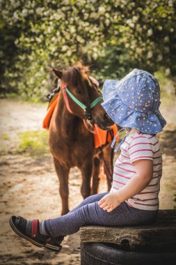 at ve ormanın içinde bebek