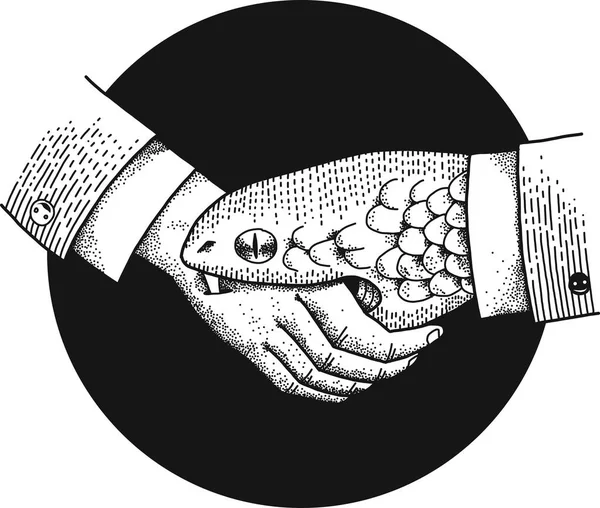 Falsk Handskakning Eller Orm Handslag Business Korruption — Stock vektor