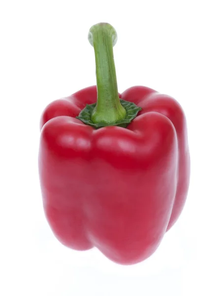 Roter Paprika (Paprika) isoliert auf weißem Hintergrund — Stockfoto