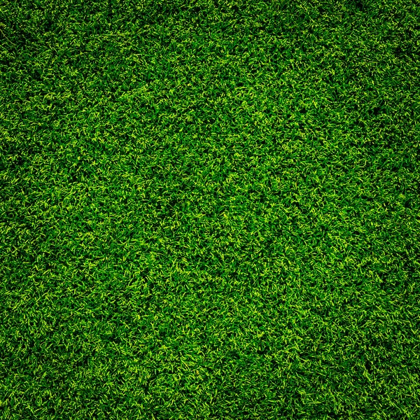 緑の草の質感の背景 — ストック写真