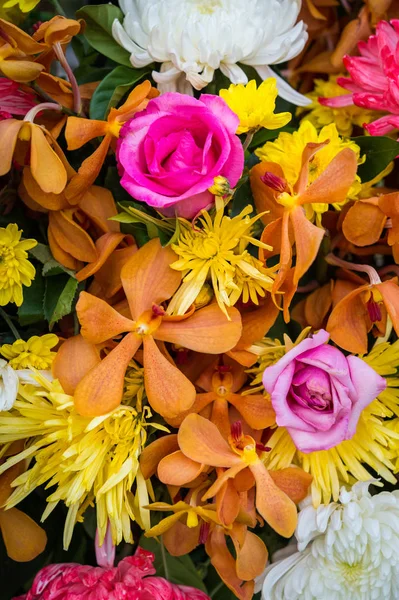 Bos van bloemen en flower textuur — Stockfoto