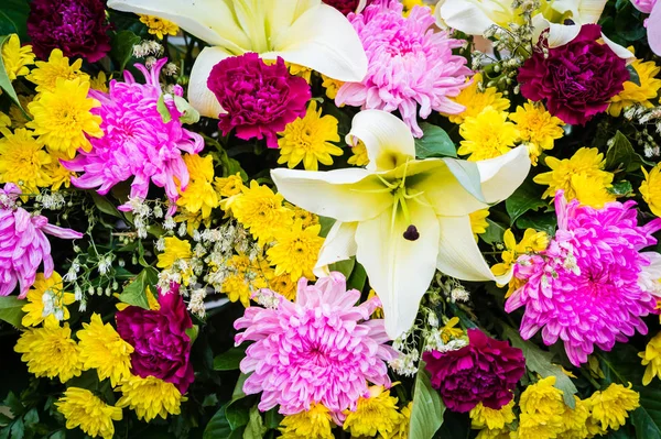 Bos van bloemen en flower textuur. — Stockfoto