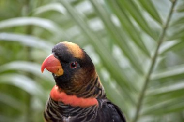 gölgeli kamyon yakın çekim