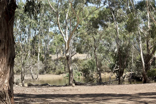 澳大利亚内陆景观 — 图库照片