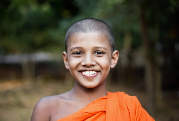 Ung Buddhistisk Munk Dambulla Sri Lanka Stock-foto