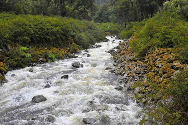 Nehir kenarında Puyuhuapi Carretera Austral